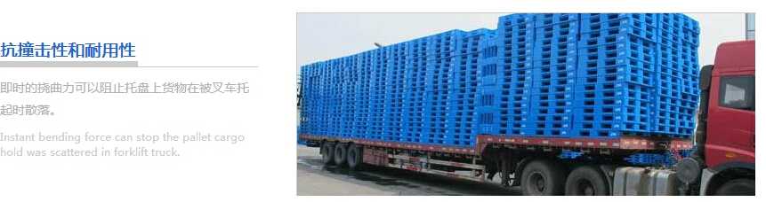 飞龙体育数据盘口飞龙棋牌下载选购必看注意事项 塑料托盘特征.jpg