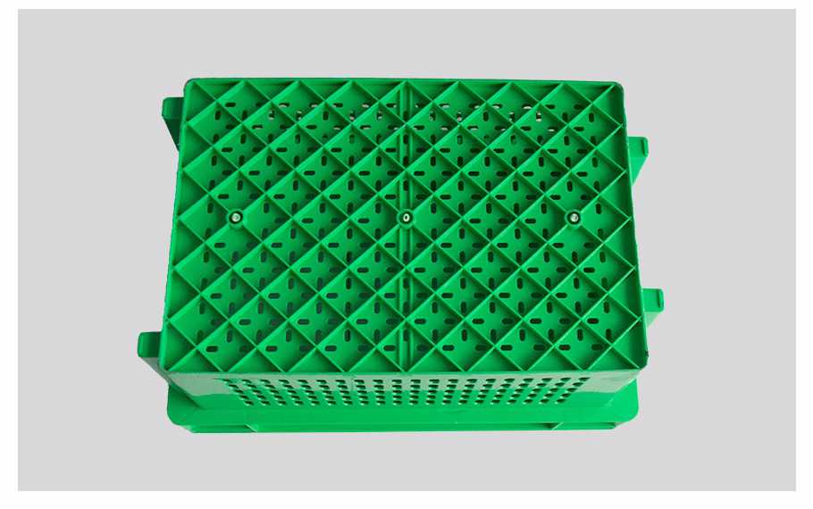 飞龙真人棋牌飞龙软件官网600-300飞龙体育数据盘口错位箩