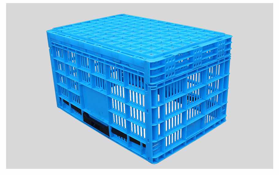 飞龙真人棋牌飞龙软件官网600-340飞龙体育数据盘口飞龙电子捕鱼周转筐 飞龙真人棋牌飞龙软件官网600-340飞龙体育数据盘口飞龙电子捕鱼周转筐