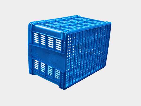 飞龙真人棋牌飞龙软件官网700飞龙体育数据盘口周转筐厚筐